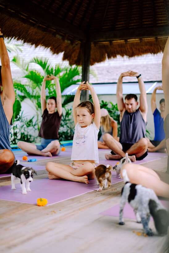 Puppy Yoga in Bali, Ubud  #1 Thing to Do in Bali - The Experience: What Works Well
