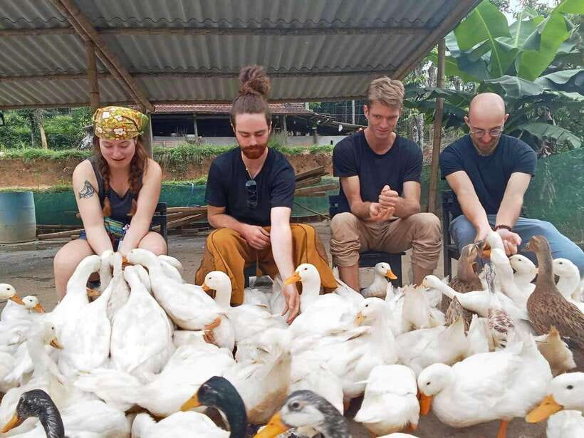 Quang Binh: Explore Phong Nha Cave and Experience Rural Life - Itinerary Highlights