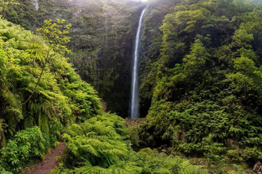 Queimadas Caldeirão Verde Madeira Island Walk - Why This Tour Is a Great Choice