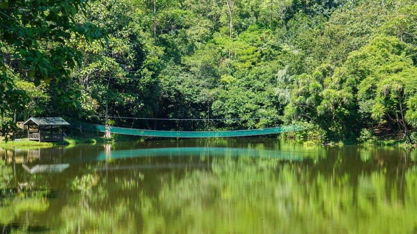 Rainforest Tour, Labuk Bay, Sun Bear & Sepilok | Sandakan - What to Expect from the Tour