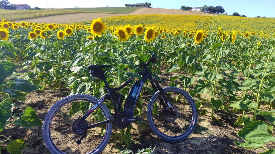 Recanati: Discover the Hills of Infinity by E-Bike - Personalized Tour Memento