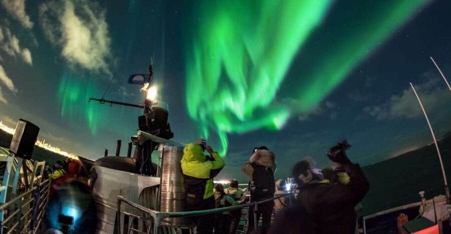 Reykjavik: 2-Hour Northern Lights by Boat with Backup Plan - Authenticity and Value  