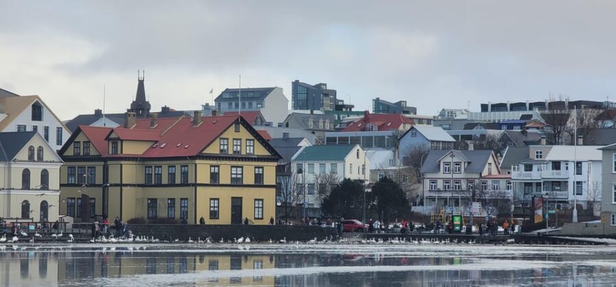 Reykjavik City private tour: Hallgrímskirkja, Perlan & More! - Hallgrímskirkja: Reykjavik’s Architectural Icon