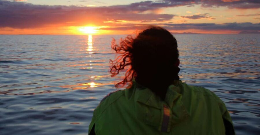 Reykjavík: Midnight Sun Whale Watching Cruise - The Sum Up: Who Should Book This Tour?