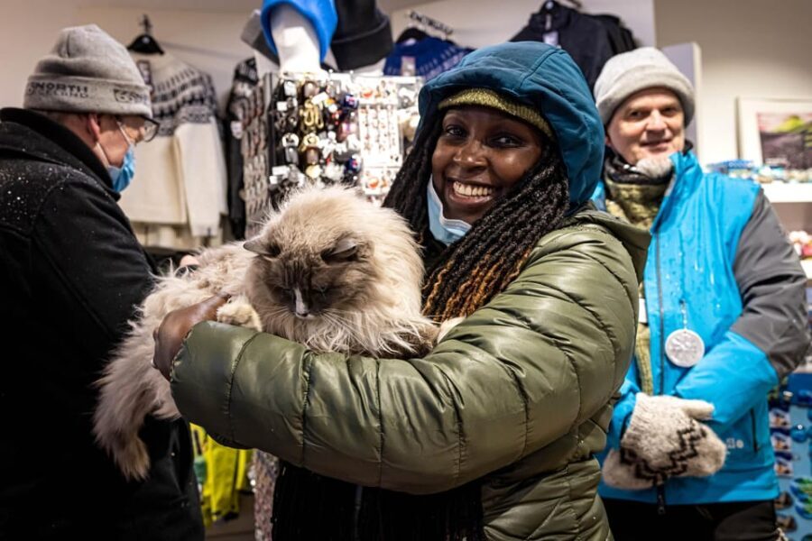 Reykjavik: Private Folklore and Catwalk Walking Tour - The history and significance of cats in Iceland