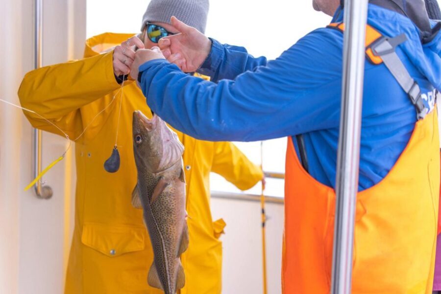 Reykjavik: Sea Fishing Boat Tour & BBQ with the Day's Catch - What to Expect from the Tour