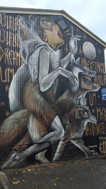 Reykjavik: Street Art Walking Tour - Who Will Love This Tour?