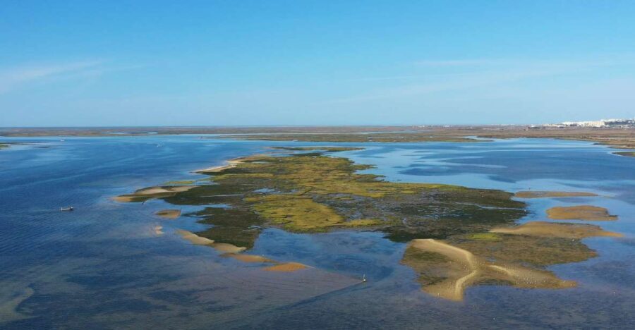Ria Formosa: Armona and Culatra Islands 3-Hour Boat Tour - Exploring the Ria Formosa
