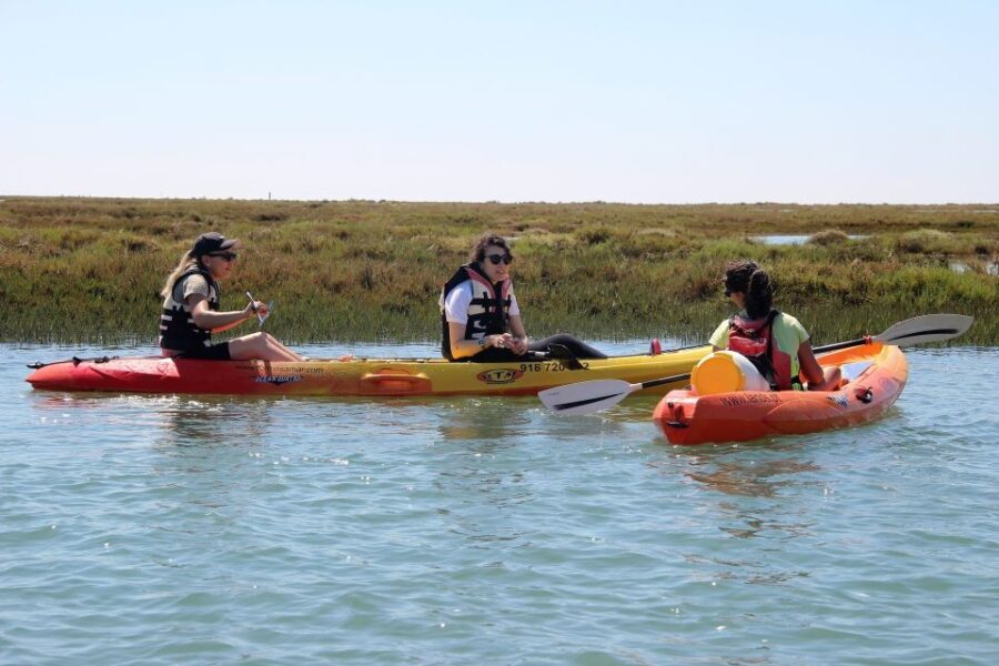 Ria Formosa National Park: Kayak Trip - What to Expect: A Step-by-Step Breakdown