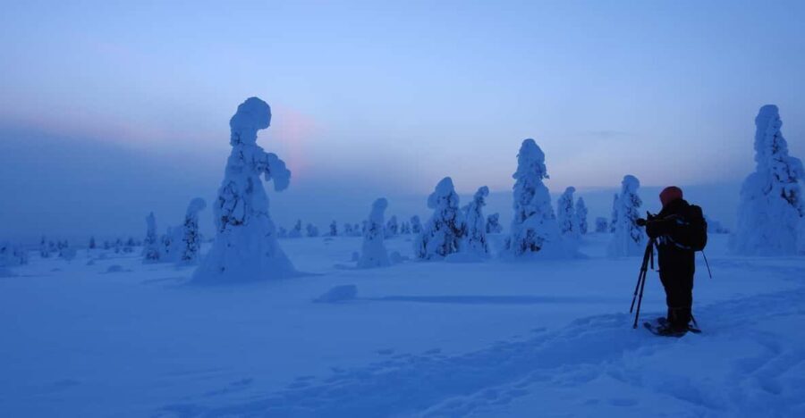 Riisitunturi National Park Snowshoe Experience - Who Should Book This Experience?