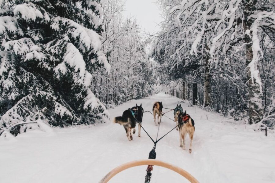 Rovaniemi: Apukka Husky Adventure - Frequently Asked Questions