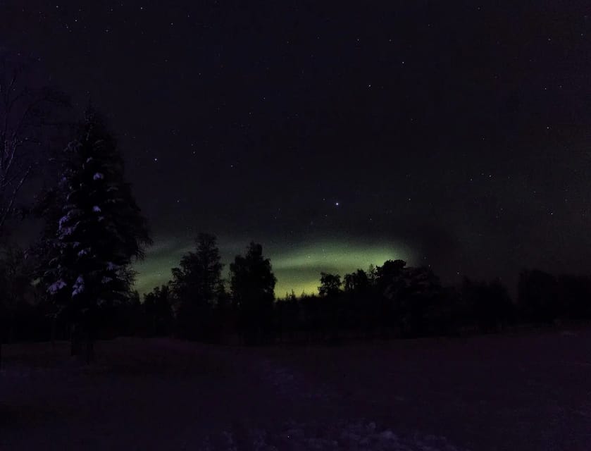 Rovaniemi: Aurora Hunting Tour in the Forest with Hot Drinks - Valuing the Price