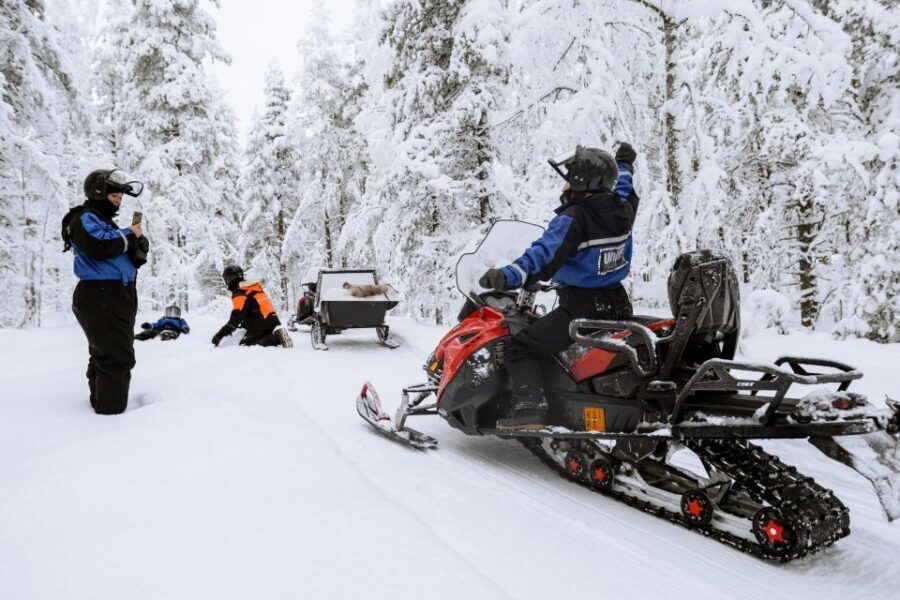 Rovaniemi: Family Snowmobile Safari with Campfire and Snacks - Why This Tour Is a Solid Choice