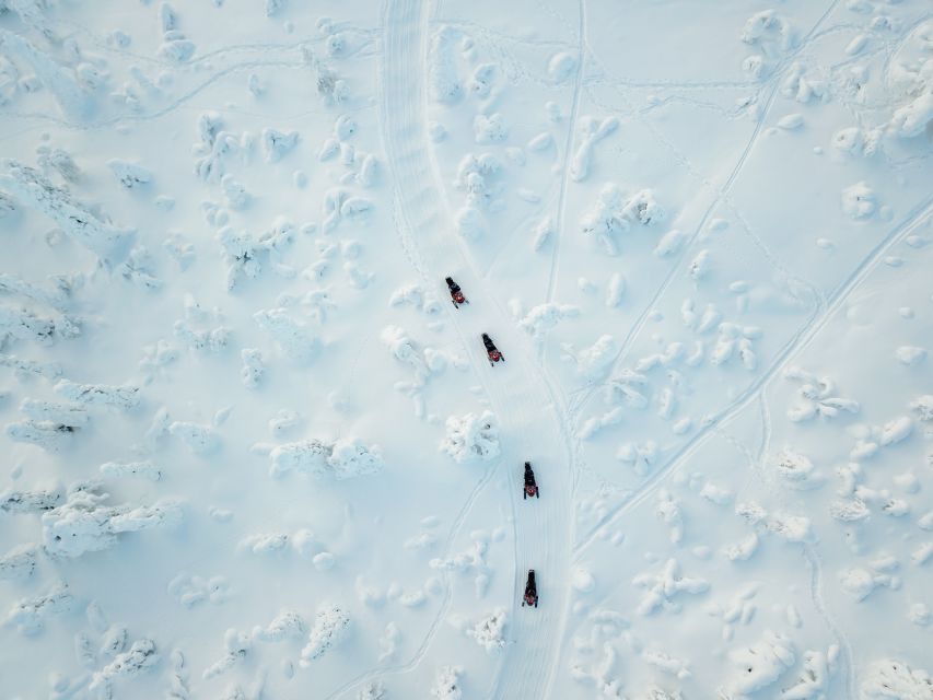 Rovaniemi: Full Day Snowmobile Safari into the Wilderness - Who Will Love This Tour?