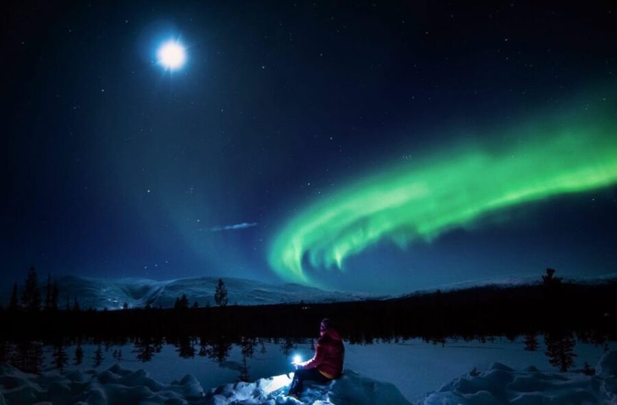 Rovaniemi: Guaranteed Aurora Hunting Tour with Local Guide - The Sum Up