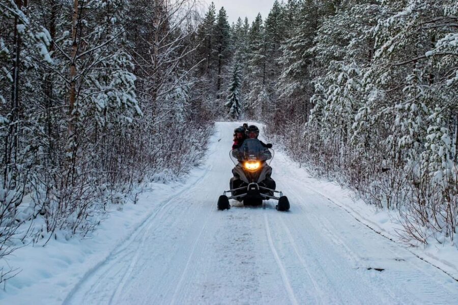 Rovaniemi: Guided Wilderness Snowmobile Safari & Barbeque - Who Is This Tour Best Suited For?