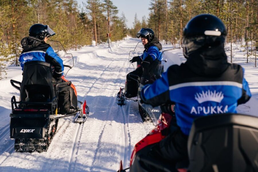 Rovaniemi: Half-Day Snowmobile Tour - Who Will Love This Tour?