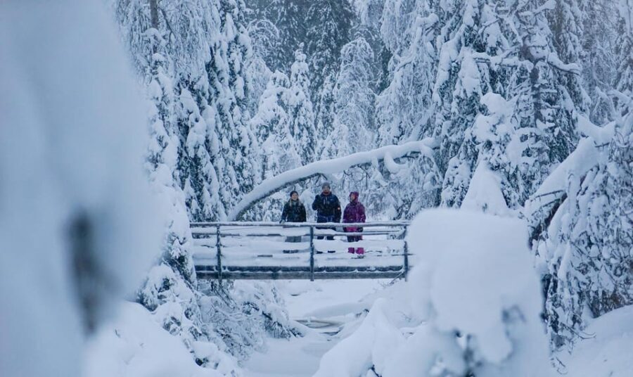 Rovaniemi: Korouoma Canyon Frozen Waterfalls Guided Hike - Food, Drinks, and Comfort