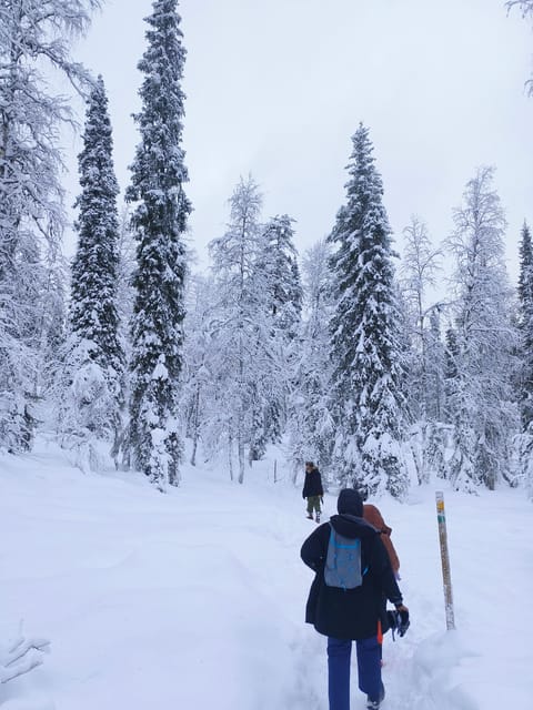 Rovaniemi: Korouoma Canyon Frozen Waterfalls Guided Hike - Why This Tour Offers Good Value