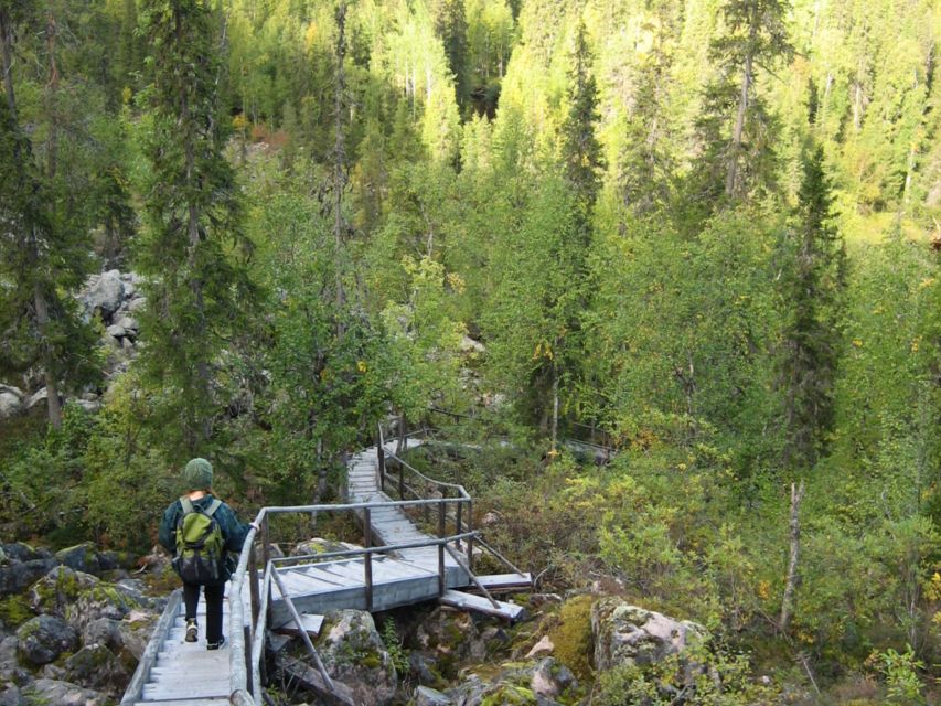 Rovaniemi: Korouoma Canyon & Waterfalls Tour with BBQ - The Joy of a Finnish BBQ
