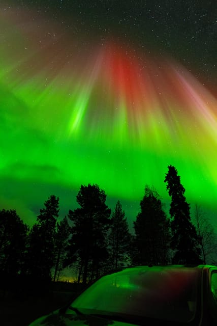 Rovaniemi: Northern Lights Tour with Guarantee - The Sum Up