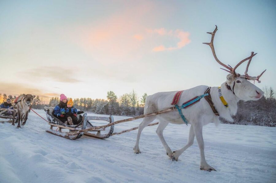 Rovaniemi: Reindeer Ride to Santa through the Magic Forest - The Itinerary: Beauty and Practicalities