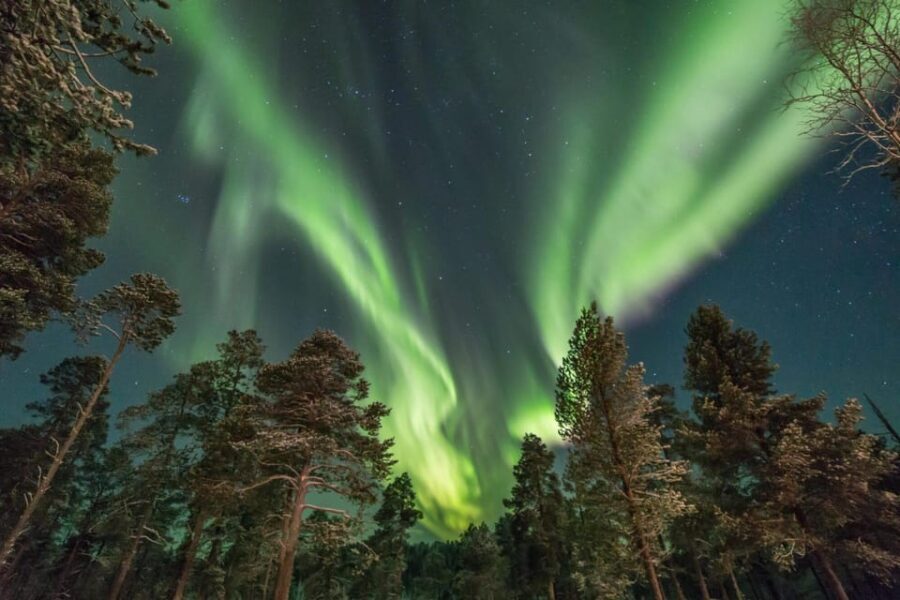 Rovaniemi: Reindeer Safari and Northern Lights Tour - What’s Included and What Isn’t