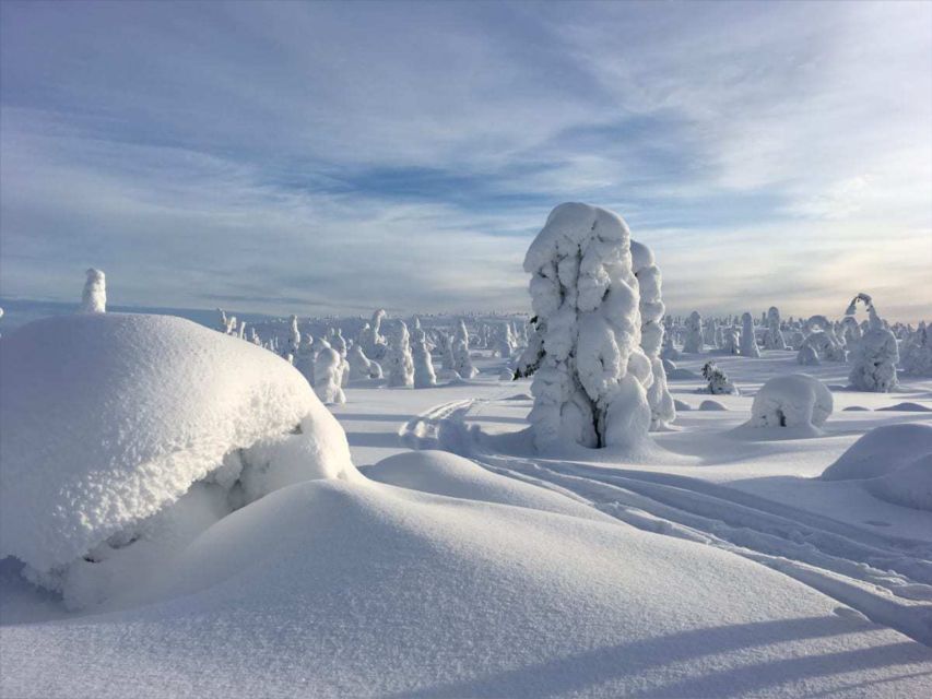 Rovaniemi: Riisitunturi Full-Day Wilderness Adventure & BBQ - Photography and Scenic Highlights