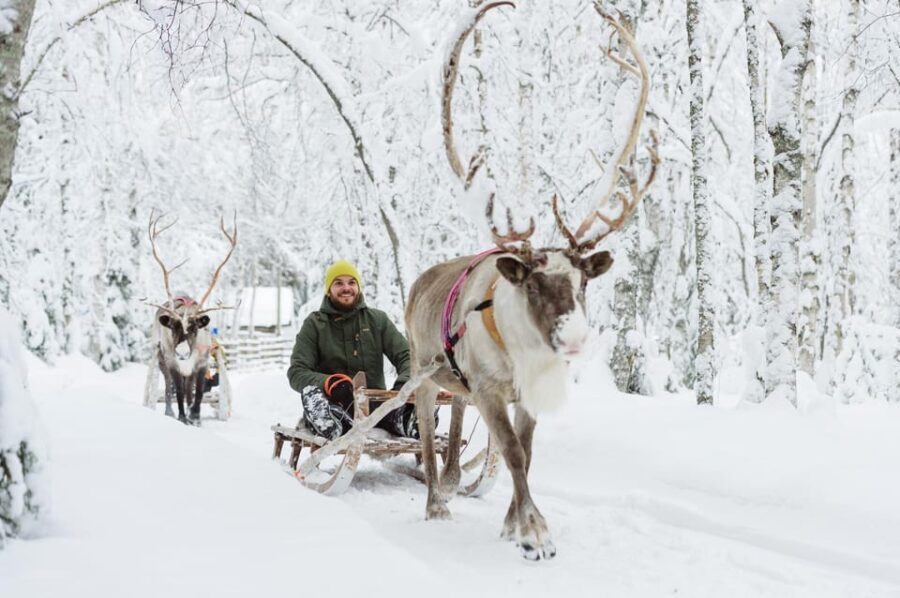 Rovaniemi: Santa Claus Village + Husky & Reindeer Sled Ride - Pricing and Value