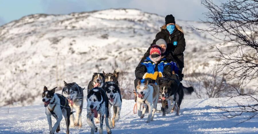 Rovaniemi: Santa's Village, Husky, & Reindeer Sled Ride - Who Will Love This Tour?