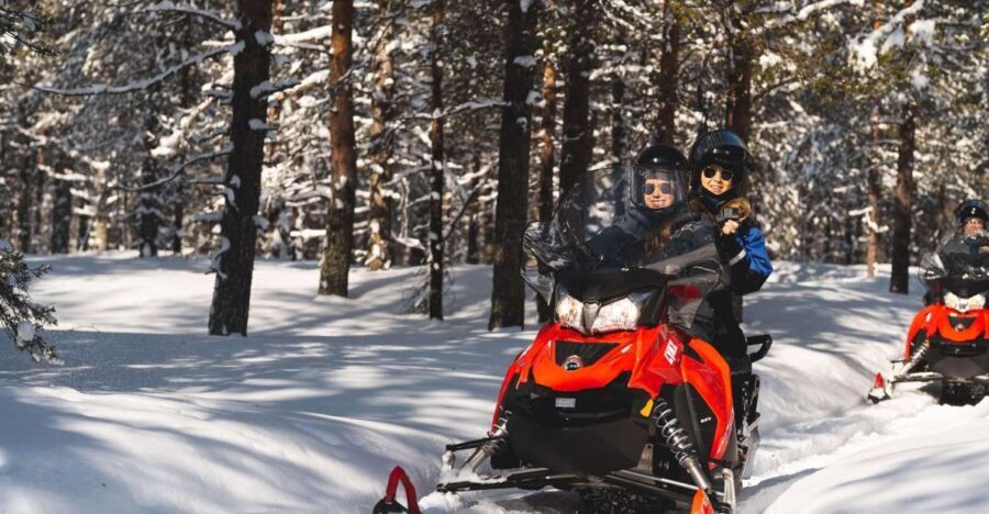 Rovaniemi: Snowmobile Safari into the Arctic Circle Forest - The Scenic Trail & Stops