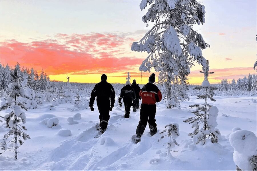 Rovaniemi: Snowshoe Hiking Adventure - What is the Rovaniemi Snowshoe Hiking Adventure?