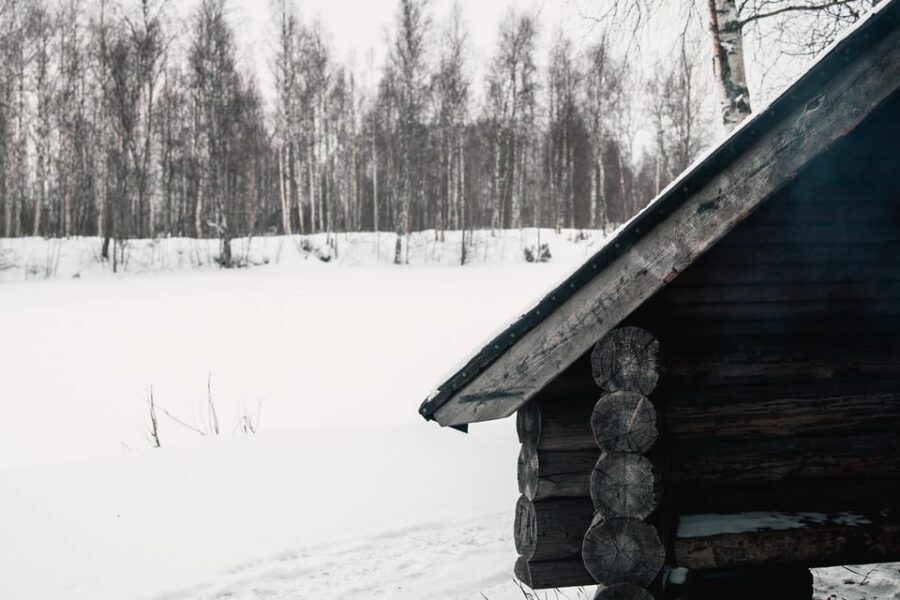 Rovaniemi: Snowshoeing in the Arctic Wilderness - Why This Tour Is Worth Considering