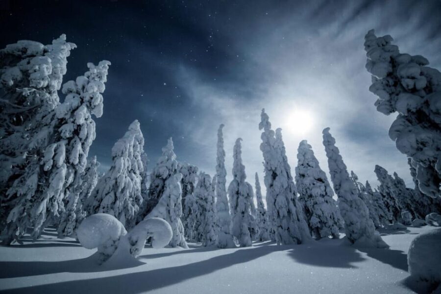Rovaniemi: Snowy Forest Night Hike with Northern Lights - The Experience Provider: Wonderlapland