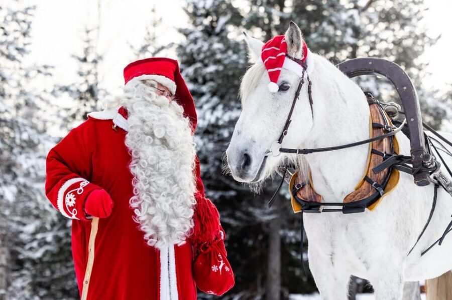 Rovaniemi: Traditional Finnhorse Sleigh Ride at SCV (3km) - Who Will Love This Tour?