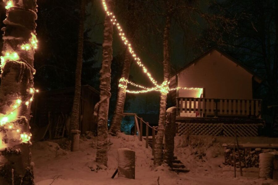 Rovaniemi: Traditional Sauna and Ice Swimming Experience - The Itinerary in Detail