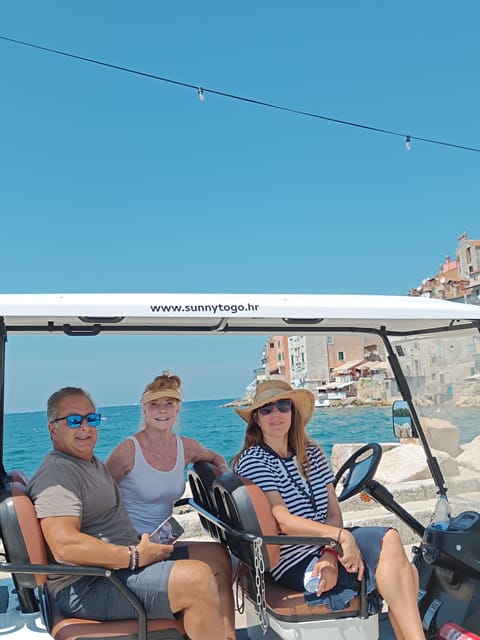 Rovinj: Old Town Golf Cart Tour - Who Will Love This Tour?