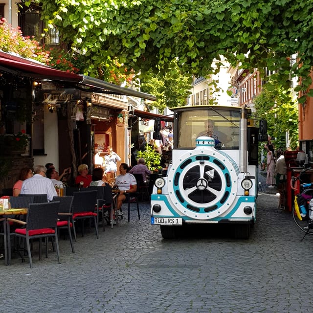 Rüdesheim sightseeing tour with the Winzerexpress - Who Should Consider This Tour?