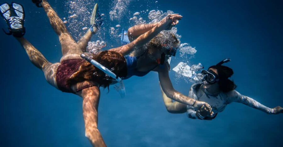S. Miguel: Snorkeling adventure in Caloura - Itinerary Breakdown: What Makes Each Stop Special