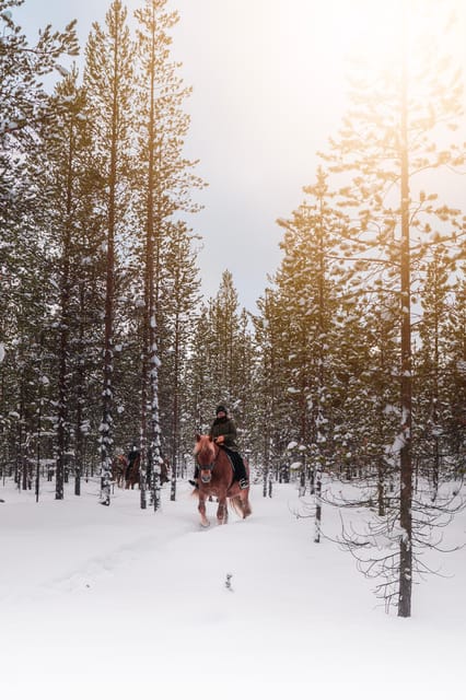 Saariselkä: Arctic Trail Horse Riding Tour - What’s Included and What Not
