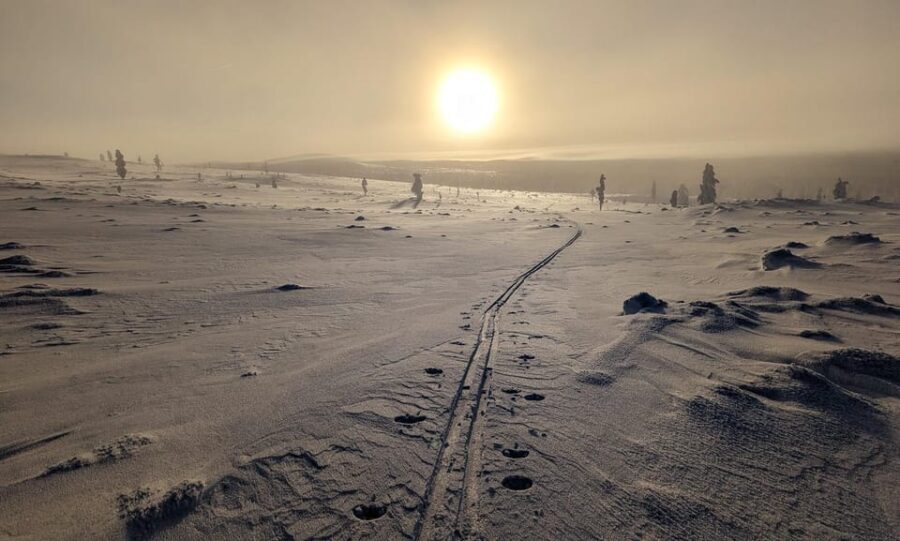 Saariselkä: Back-Country Skiing Guided Tour - Value and Practicality