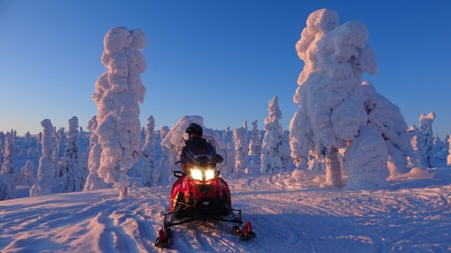 Saariselkä: Evening Snowmobile Tour with Fire & picnic - What Sets This Tour Apart?