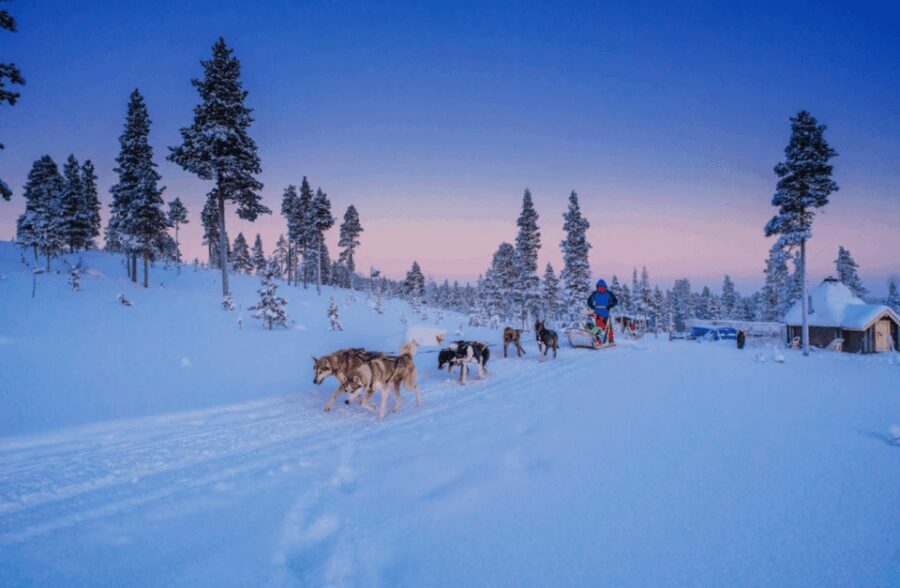 Saariselkä: Husky Safari with Aurora Borealis Hunt - Why This Tour Is Worth Considering