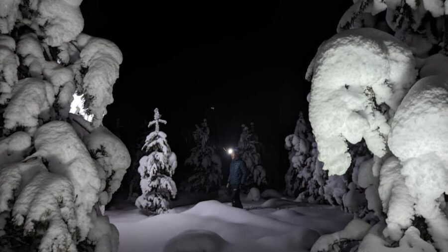 Saariselkä: Snowshoeing Tour in Urho Kekkonen National Park - The Sum Up