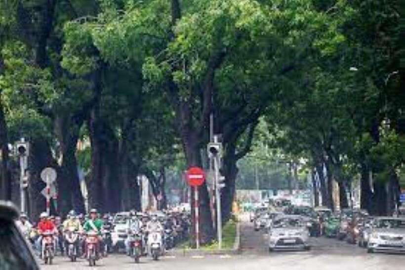 Saigon City Half Day Tour - Pickup and Group Options