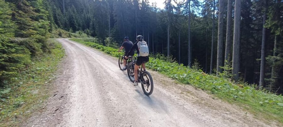 Salzkammergut: Guided e-bike tour to the alpine pastures in Gosau and Hallstatt - What’s Included and What’s Not