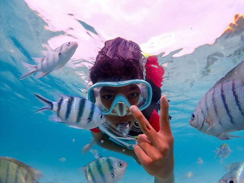 Samaesarn : Finding Nemo Snorkeling Tour Private Speedboat - Tour Highlights