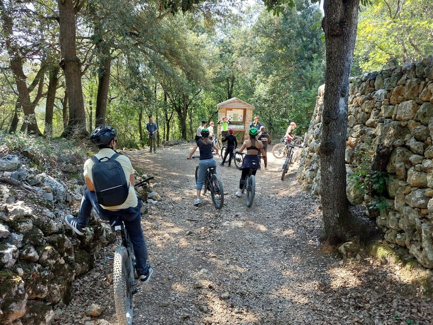 San Gimignano: E-Bike Tour with Tasting - What to Expect on the Route