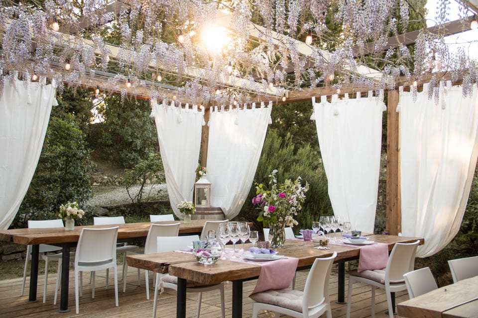 San Gimignano: Wine Tasting with Aperitivo in the Vineyard - Who Will Love This Experience?