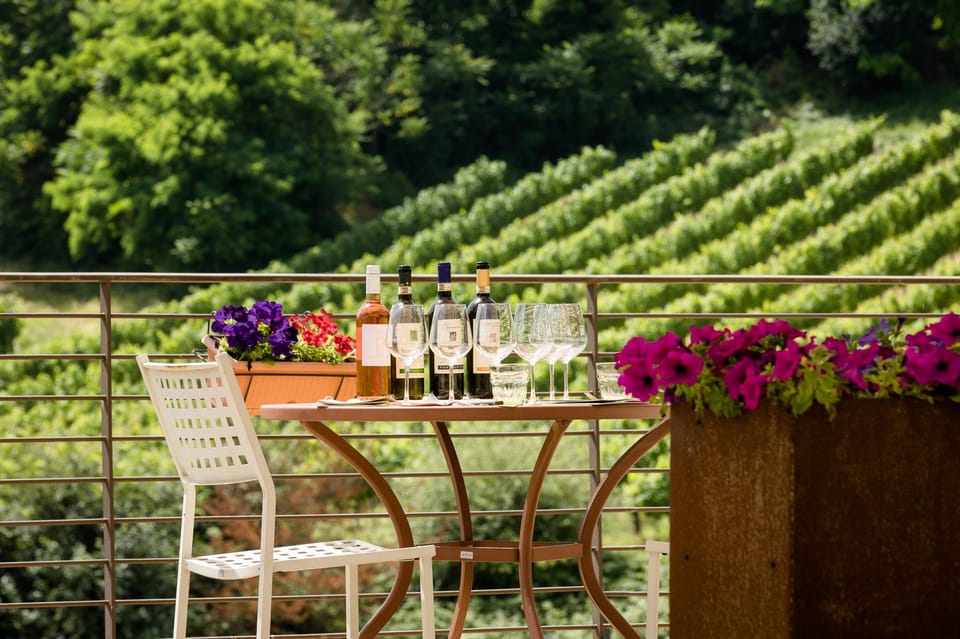 San Gimignano: Winery Visit With Picnic in Olive Grove - The Picnic Adventure